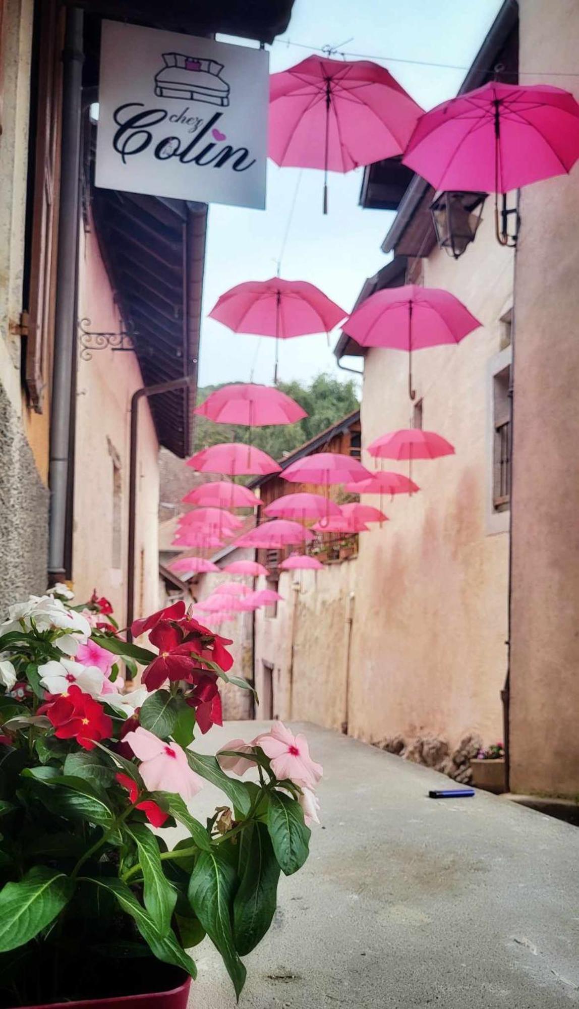 Le Doux Nid Bed & Breakfast Chanaz Dış mekan fotoğraf